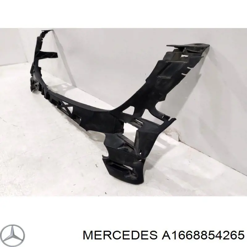 A1668854265 Mercedes