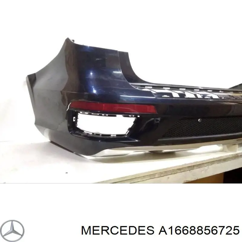 A1668856725 Mercedes