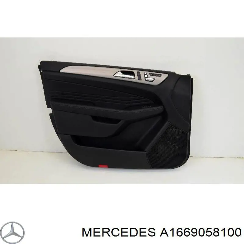 A1669058100 Mercedes