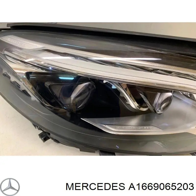 A1669065203 Mercedes