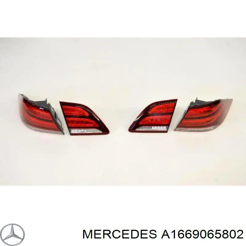 A1669065802 Mercedes