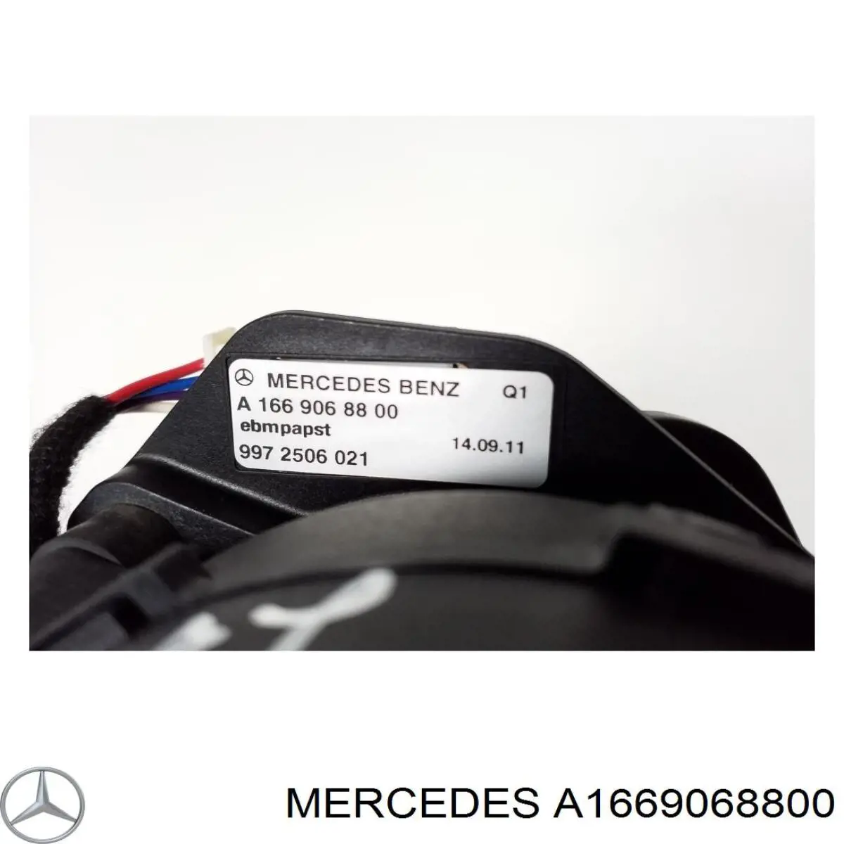A1669068800 Mercedes 