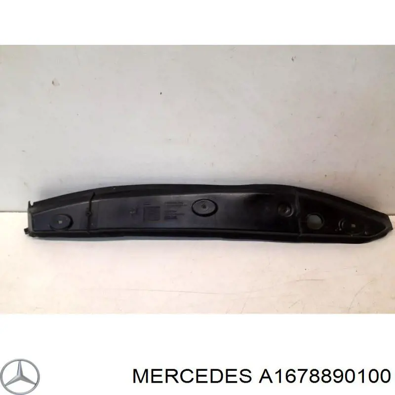 A1678890100 Mercedes