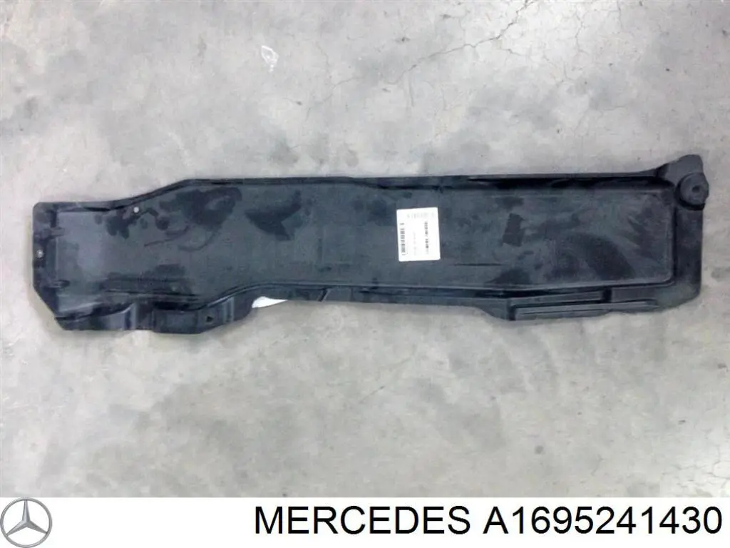 A1695241430 Mercedes listón de acceso exterior derecho