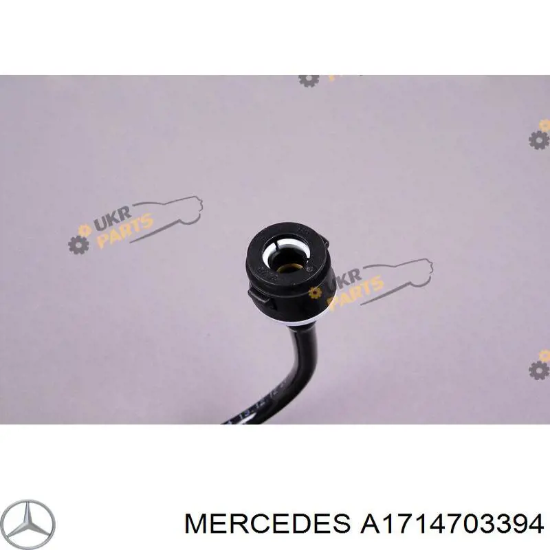 A1714703394 Mercedes