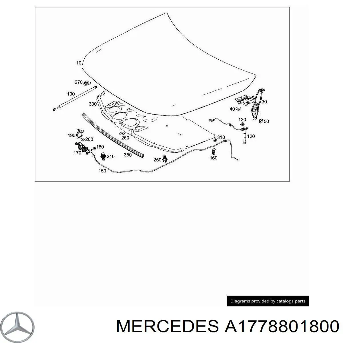 Capot para Mercedes A (W177)