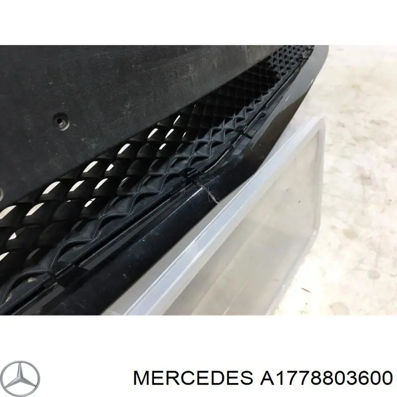 A1778803600 Mercedes