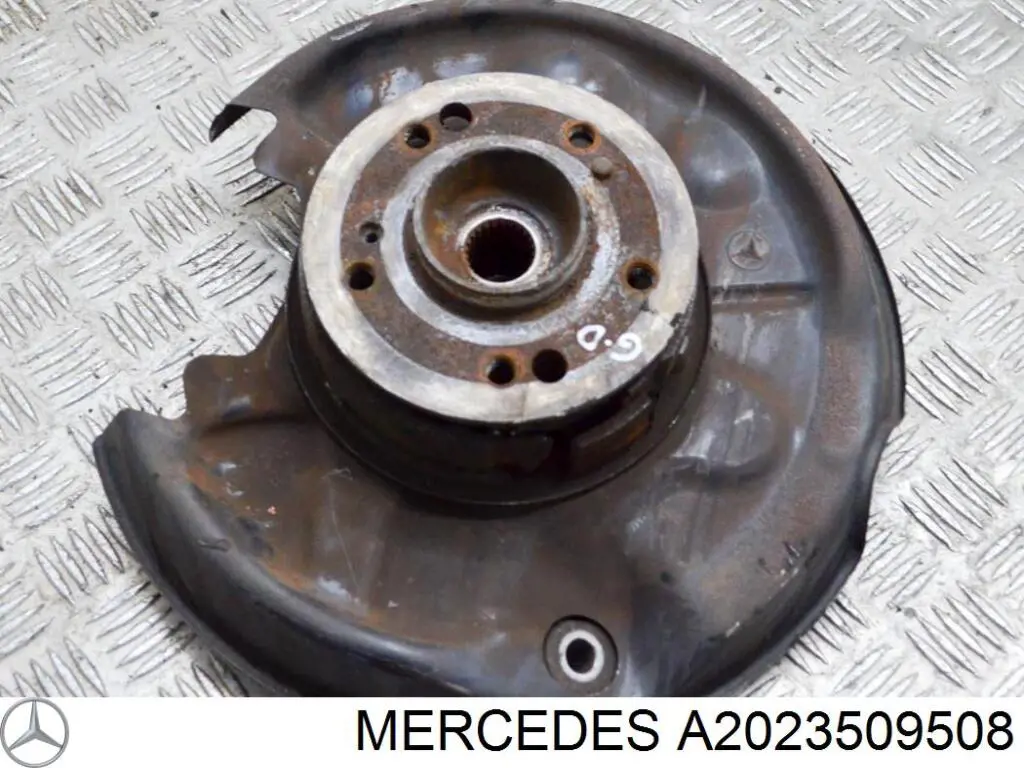 Comprar A2023509508 Mercedes Mangueta trasera derecha