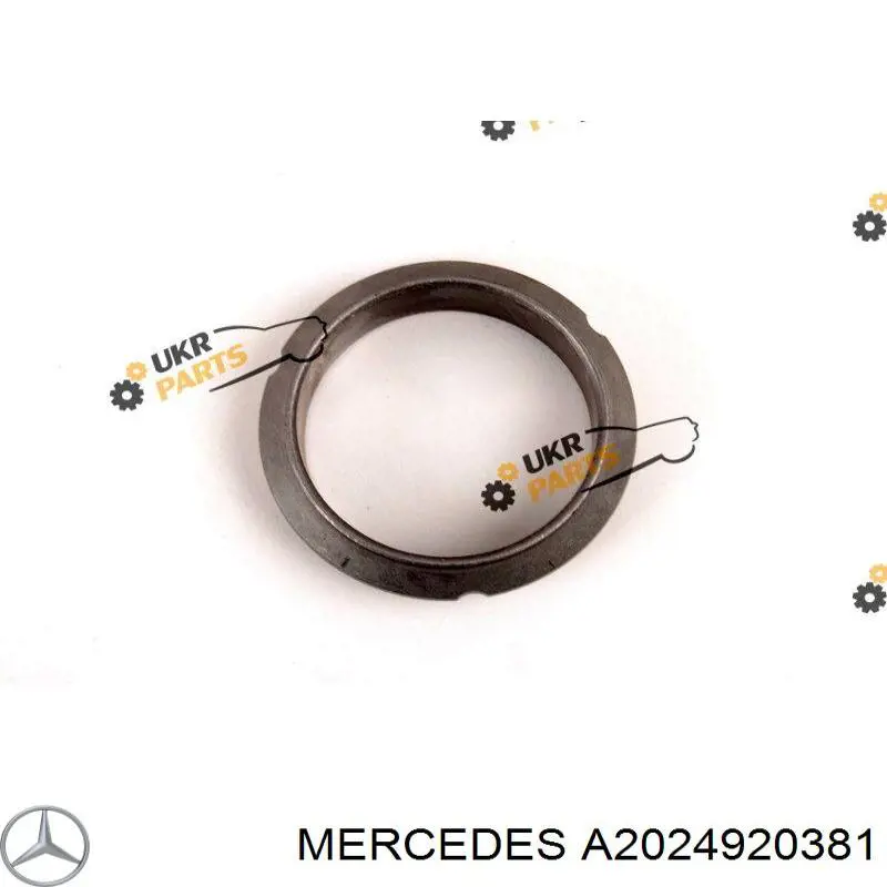 A2024920381 Mercedes junta, tubo de escape