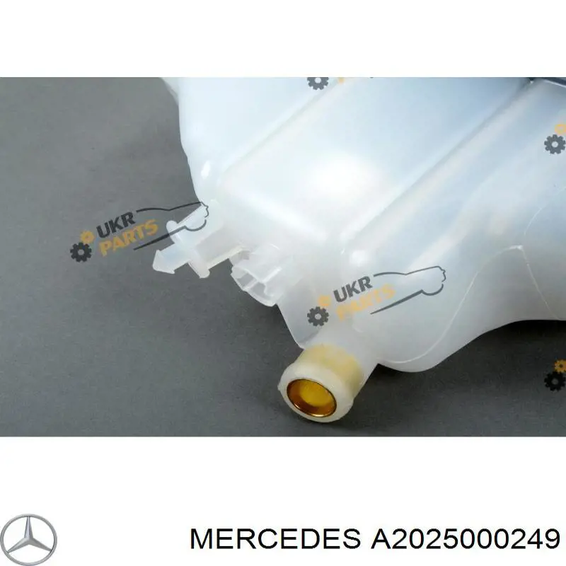 A2025000249 Mercedes vaso de expansión, refrigerante