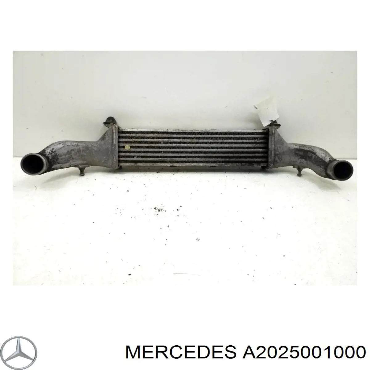 A2025001000 Mercedes intercooler