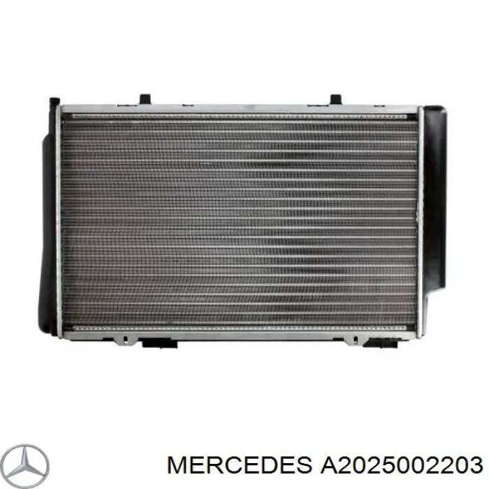 A2025002203 Mercedes radiador