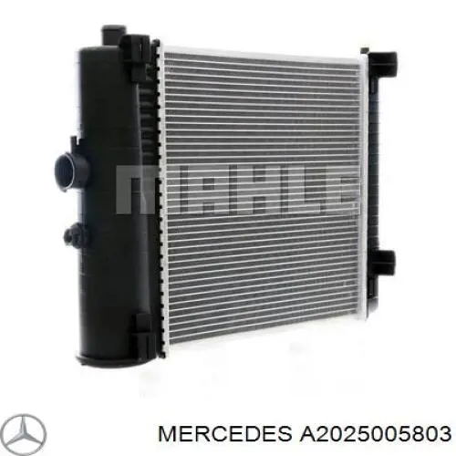 A2025005803 Mercedes radiador refrigeración del motor