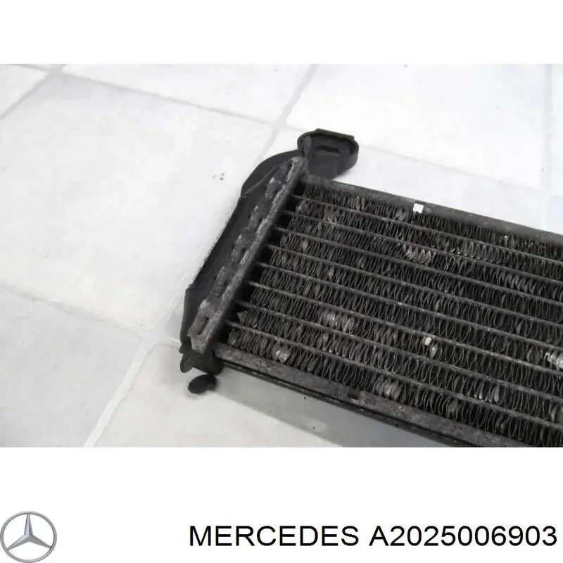 A2025006903 Mercedes radiador