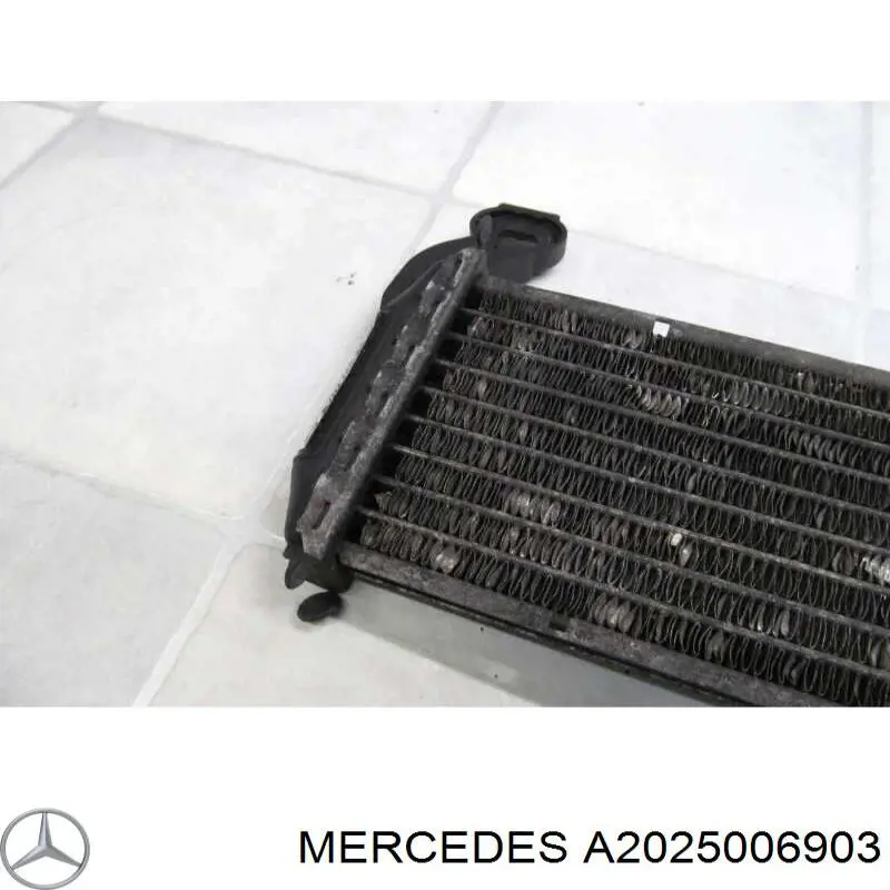 A2025006903 Mercedes radiador refrigeración del motor