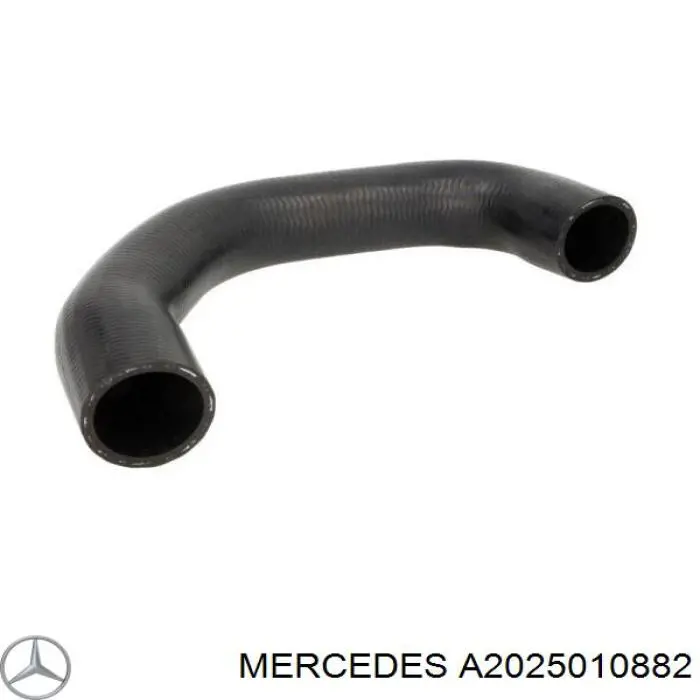 Manguera superior del radiador Mercedes A2025010882 precio, desde 12,52 EUR
