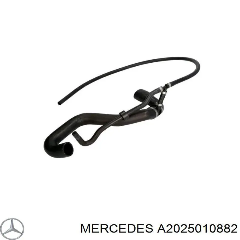 Manguera superior del radiador A2025010882 Mercedes