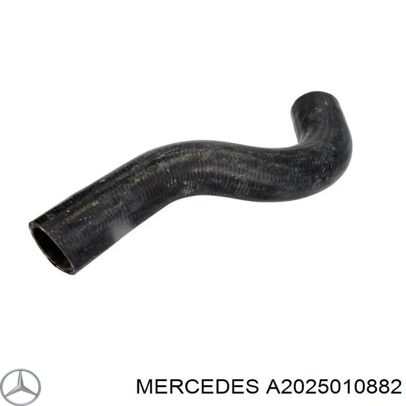 Comprar A2025010882 Mercedes Manguera superior del radiador