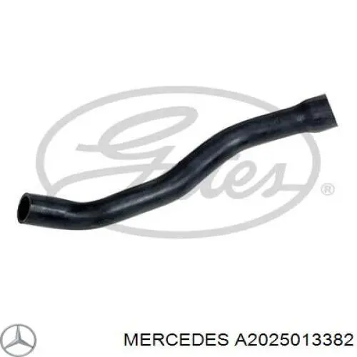 A202501338264 Mercedes