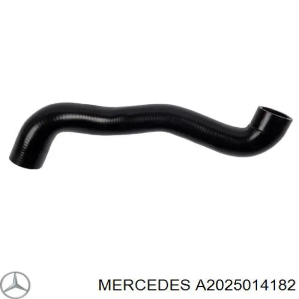 A2025014182 Mercedes