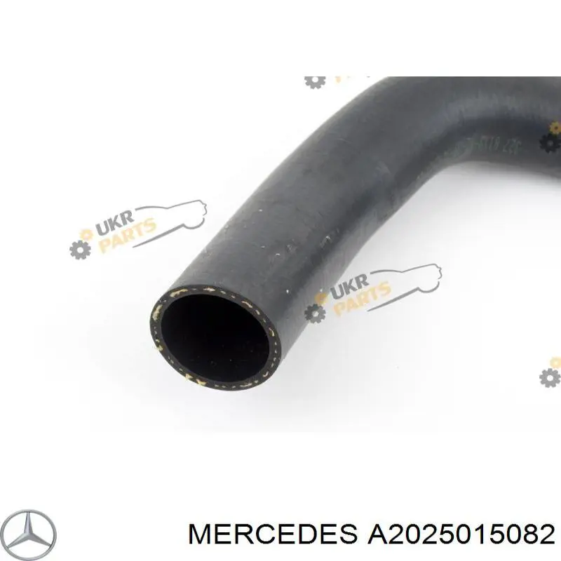 Manguera inferior del radiador Mercedes A2025015082 precio, desde 13,73 EUR