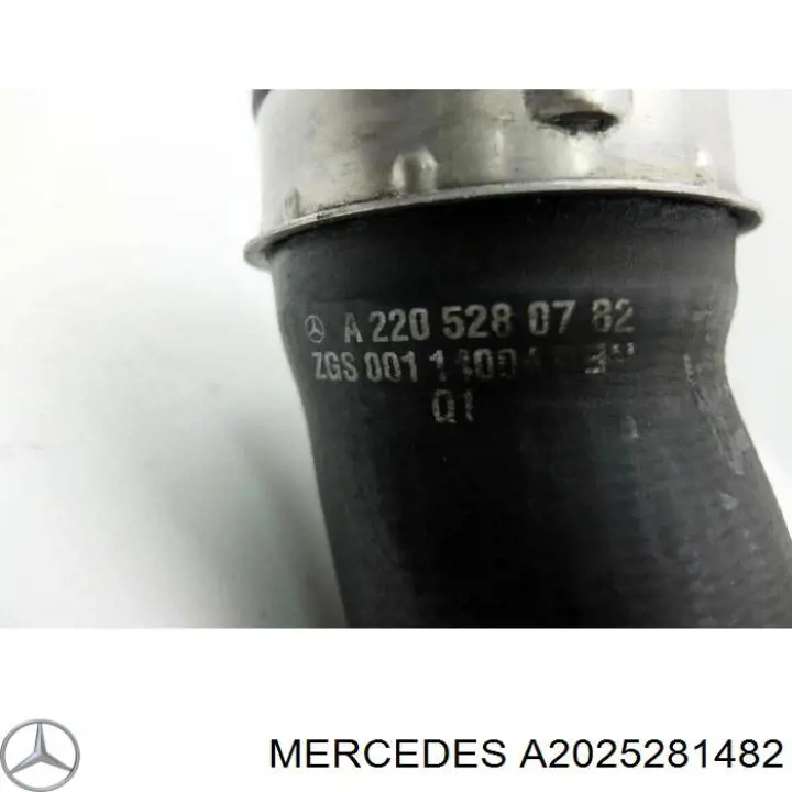 Tubo intercooler A2025281482 Mercedes
