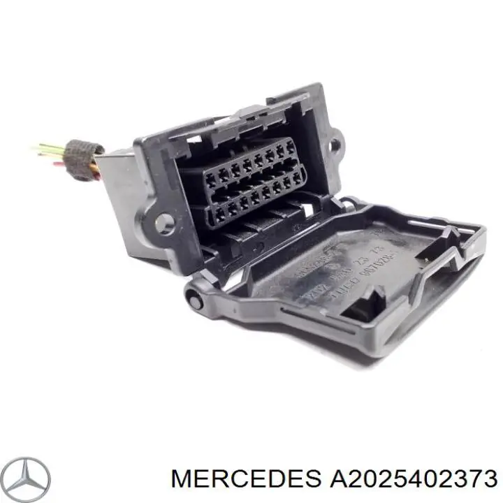 A2025402373 Mercedes