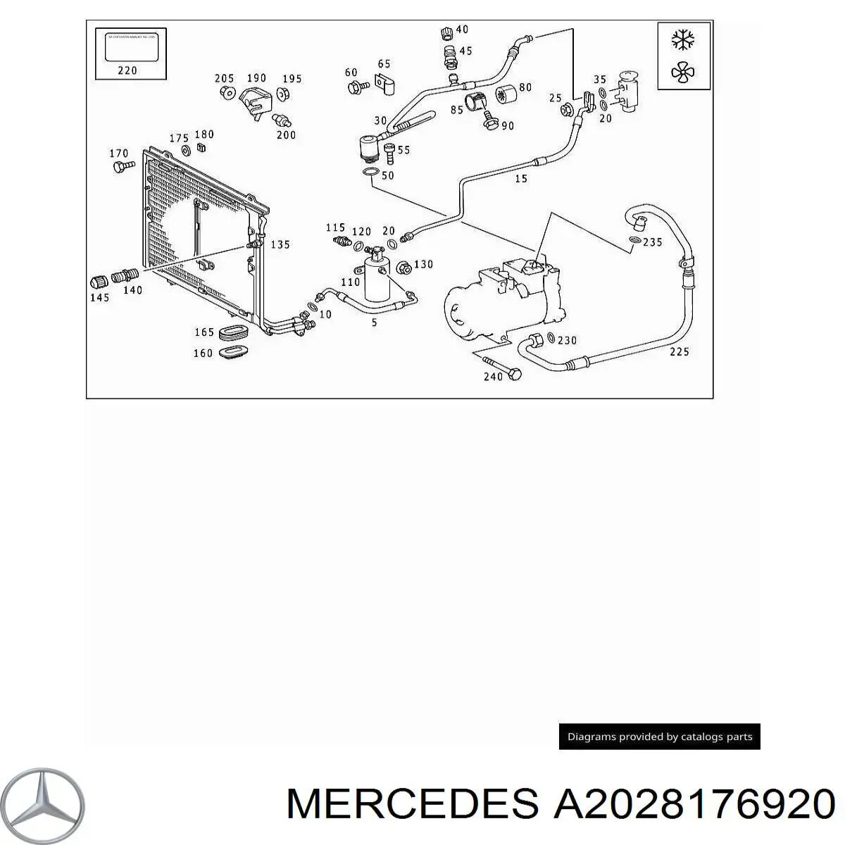 A2028176920 Mercedes 