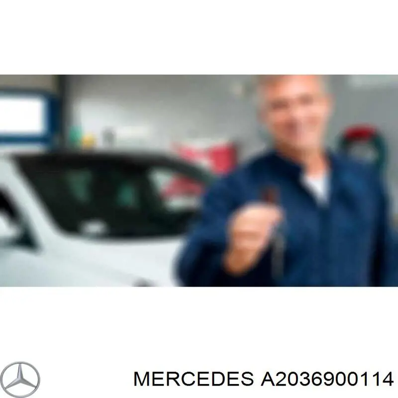 A2036900114 Mercedes