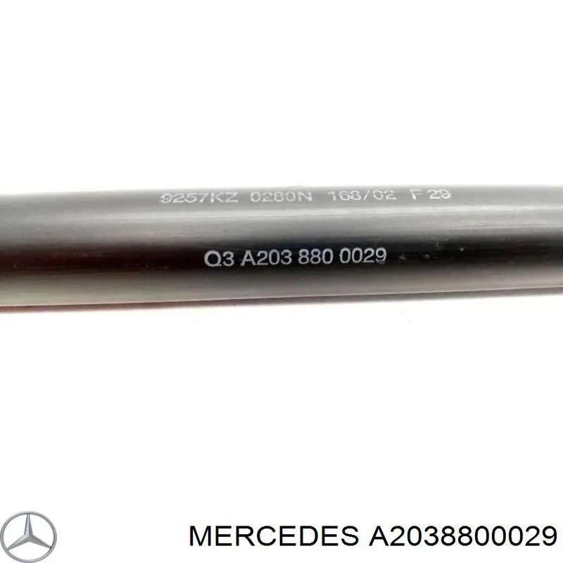 A2038800029 Mercedes muelle neumático, capó de motor derecho
