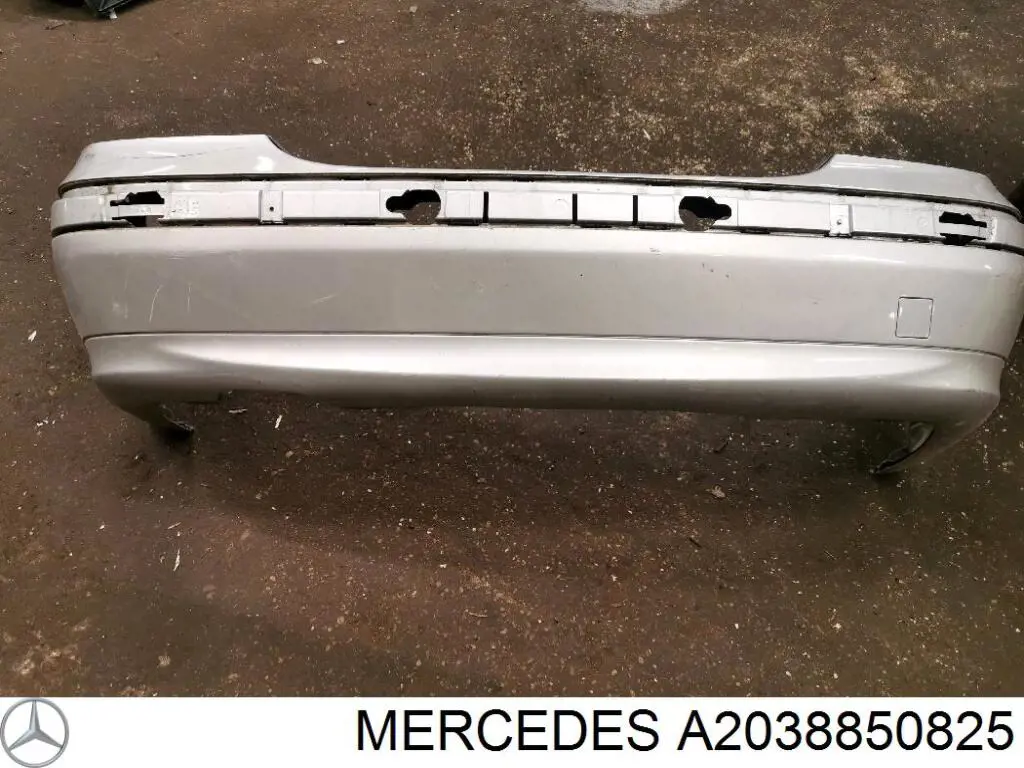Parachoques trasero 1671055 Diederichs