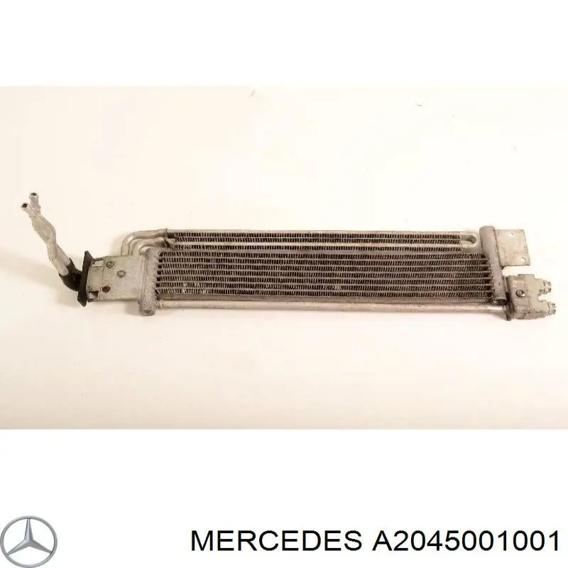 204500100164 Mercedes