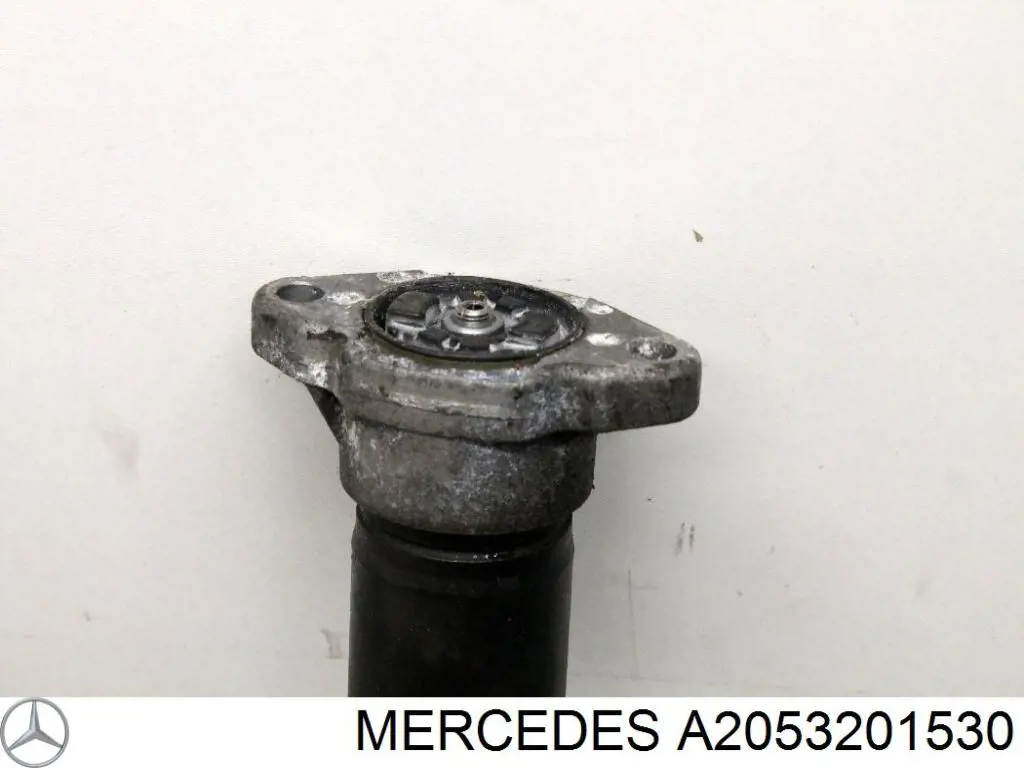 A2053201530 Mercedes Amortiguadores posteriores