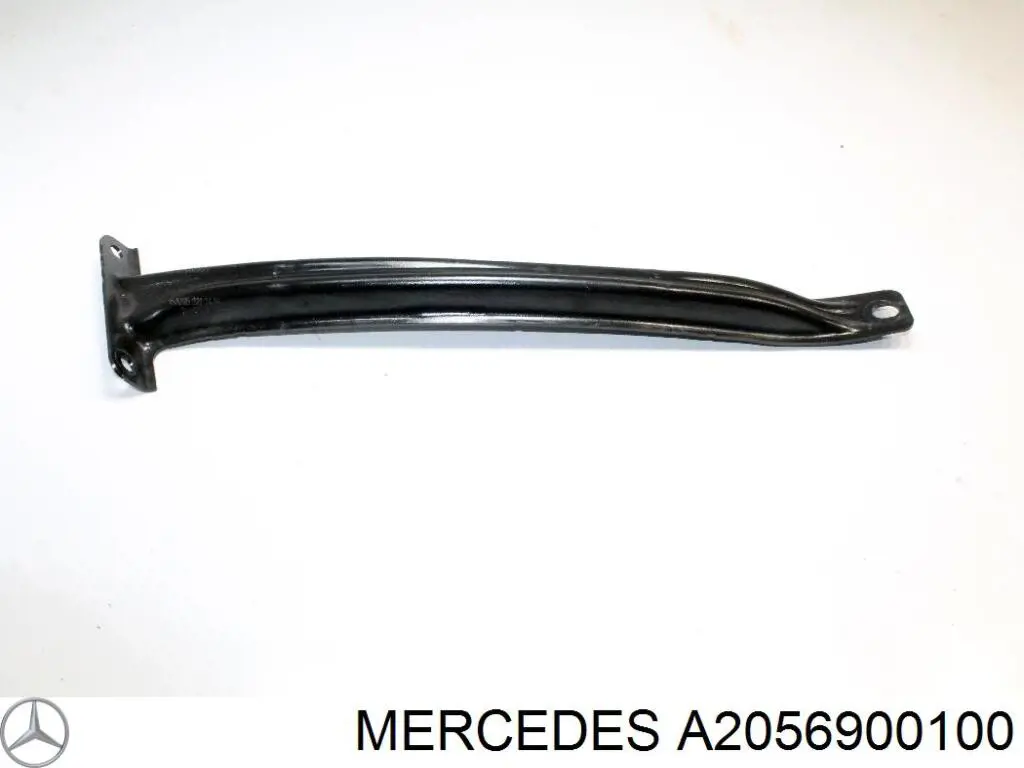 A2056900100 Mercedes Tapa de guardabarros delantero izquierdo