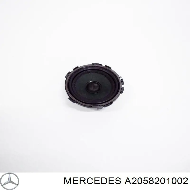 A2058201002 Mercedes