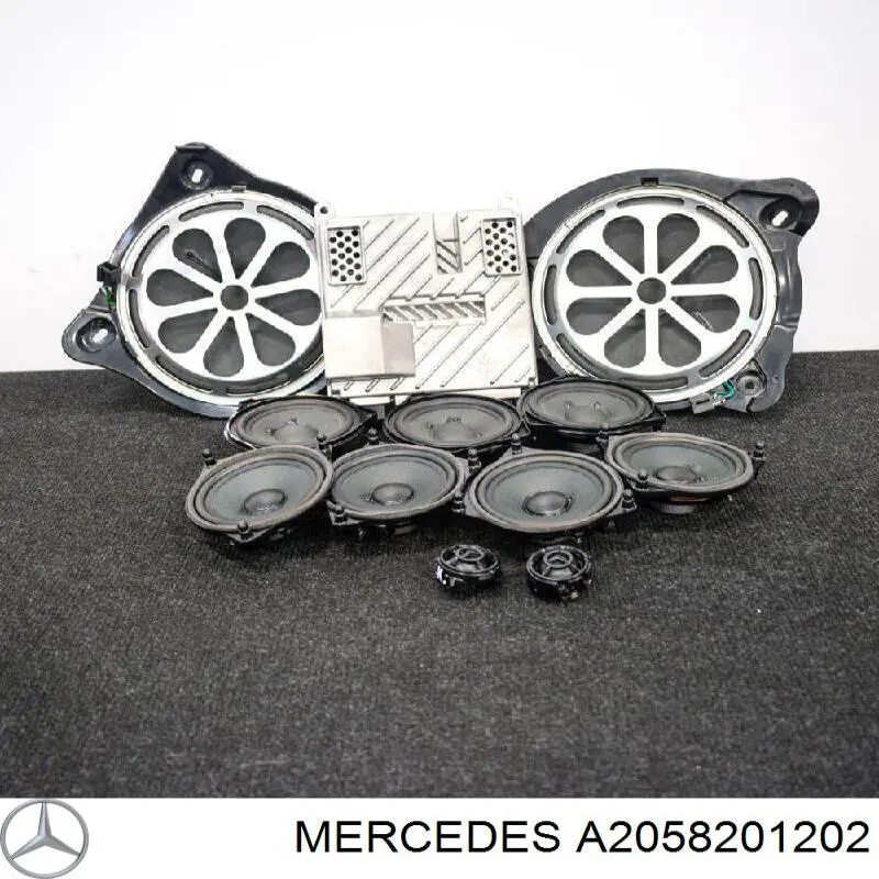 A2058201202 Mercedes