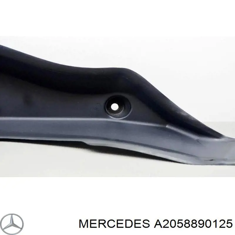 A2058890125 Mercedes