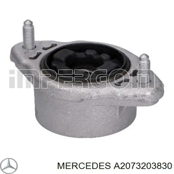 Amortiguador trasero 2073233830 Mercedes