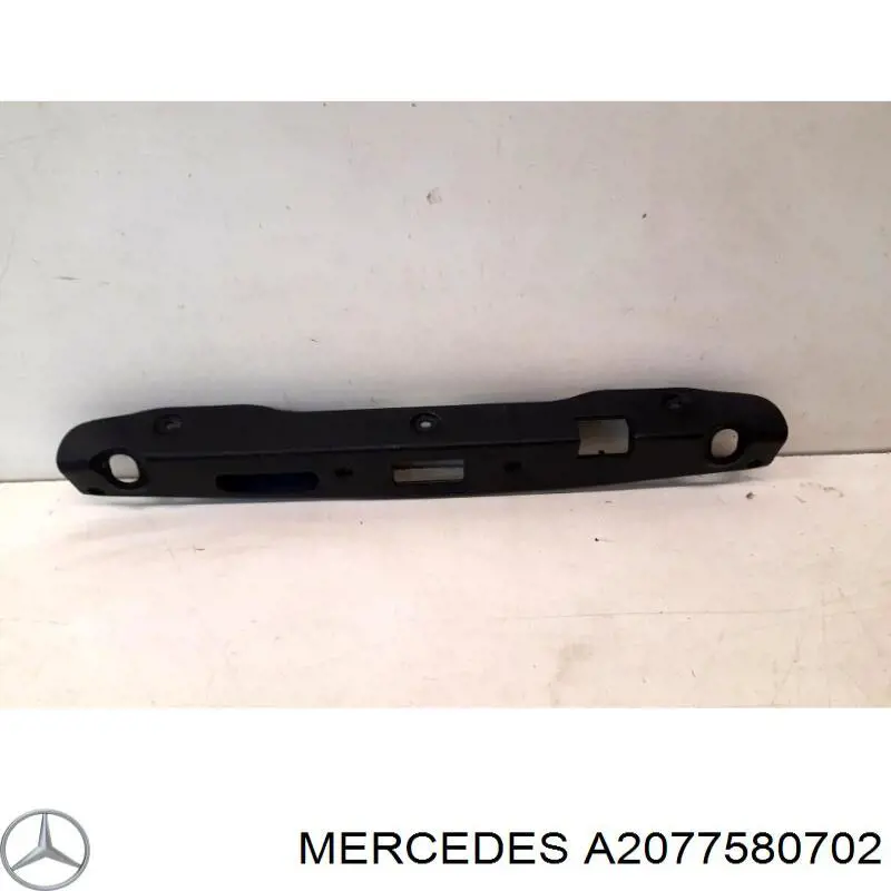  Mercedes A2077580702