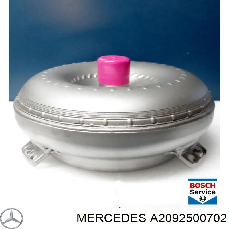 A209250070228 Mercedes