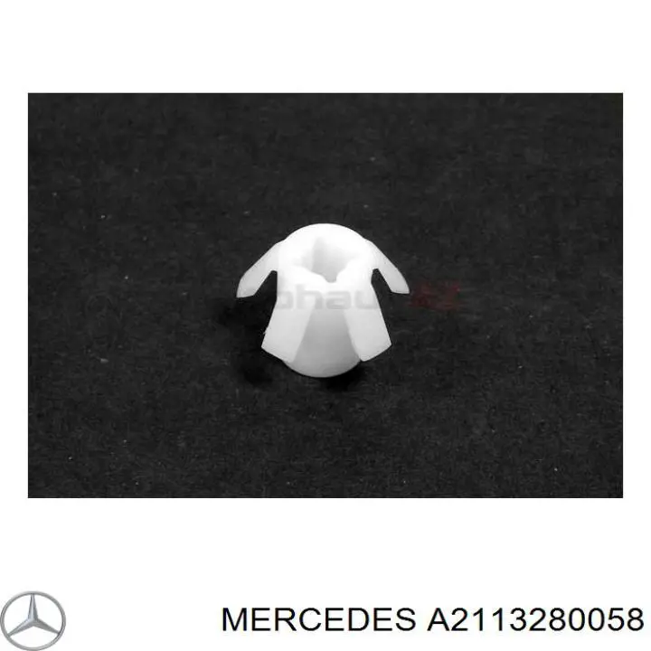 A2113280058 Mercedes