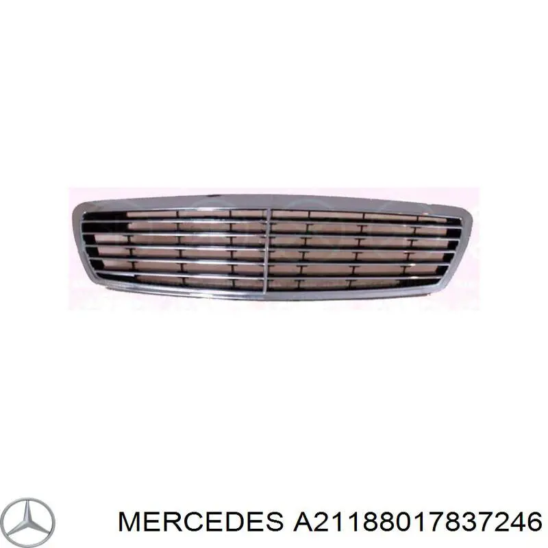Parrilla Mercedes E S211