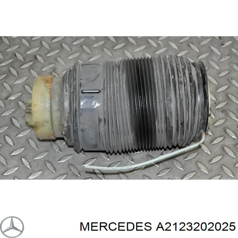 A2123202025 Mercedes muelle neumático, suspensión, eje trasero