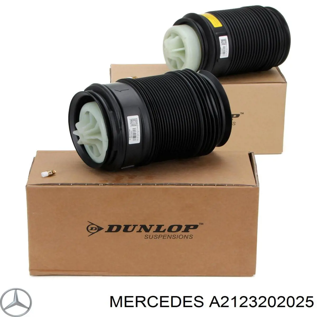 Comprar REC34AS0008 Amity AP Bolsa de aire del eje trasero