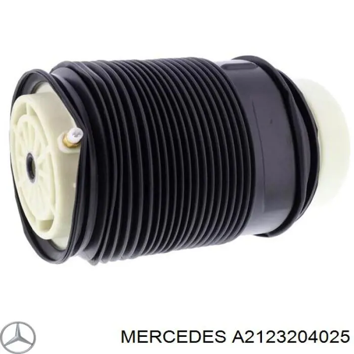 Comprar REC34AS0008 Amity AP Bolsa de aire del eje trasero