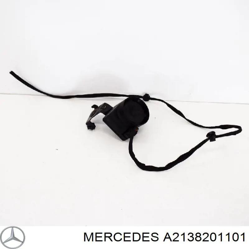 2138201101 Mercedes