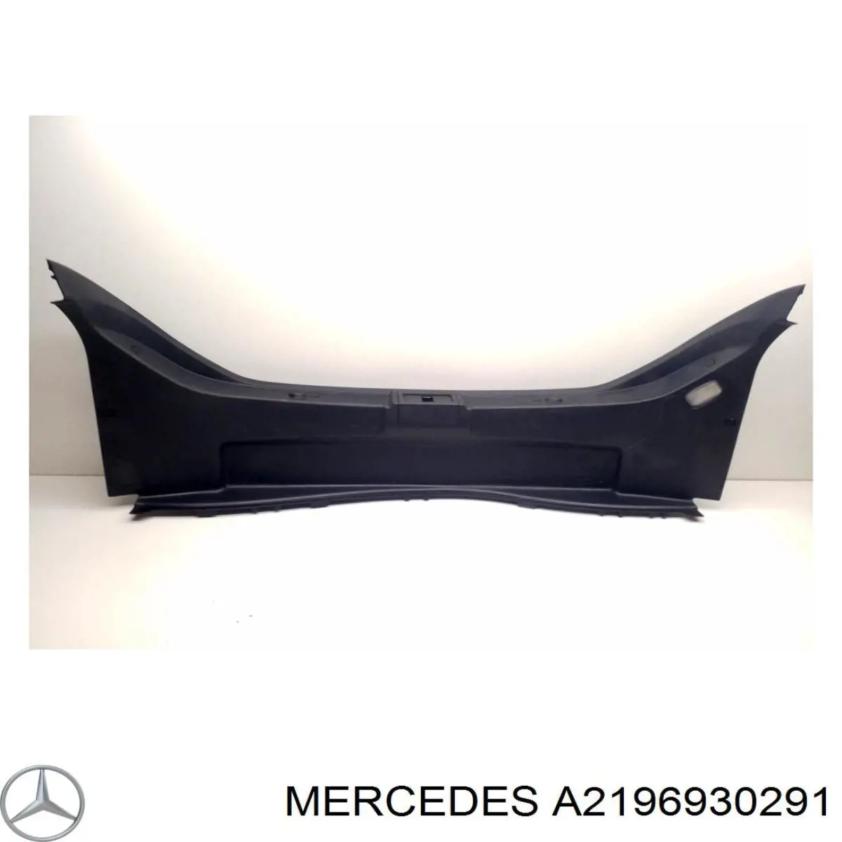 A2196930291 Mercedes