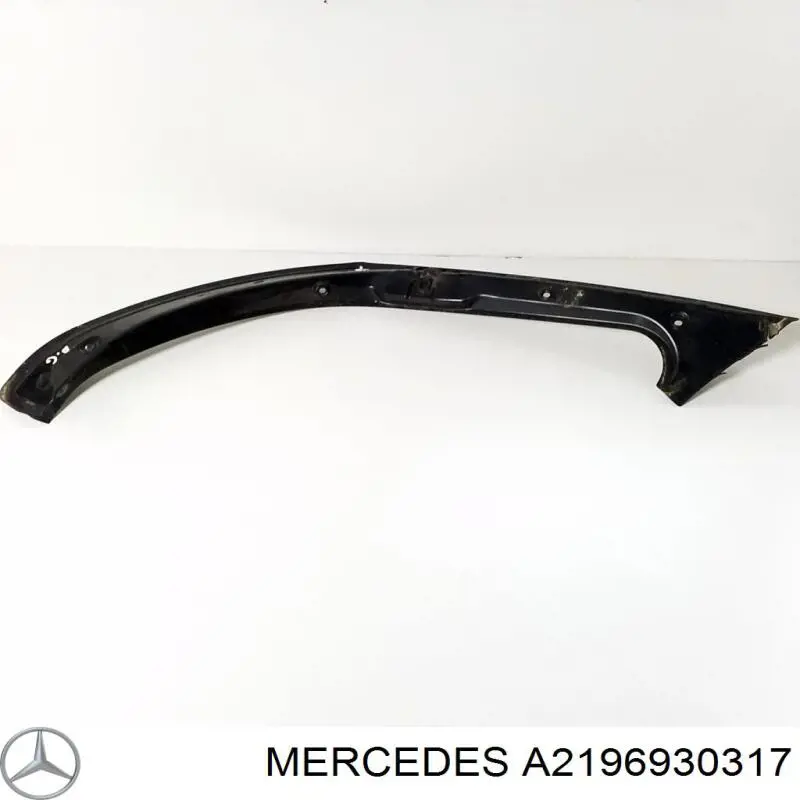 A2196930317 Mercedes