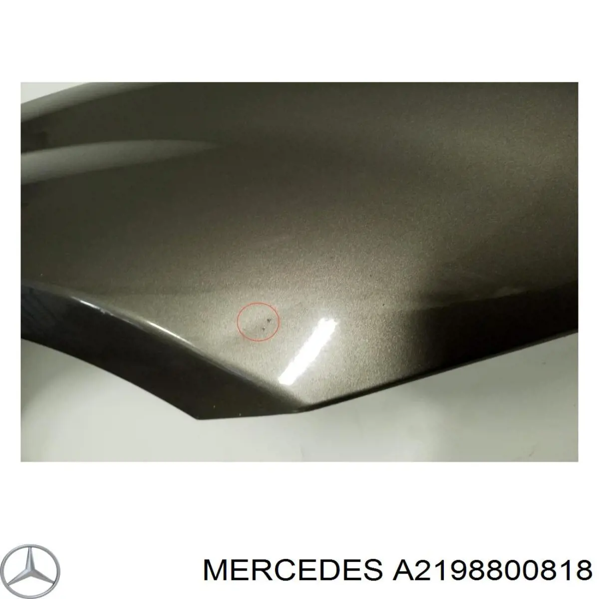 Guardabarros delanteros derecho Mercedes A2198800818 precio, desde 304,92 EUR