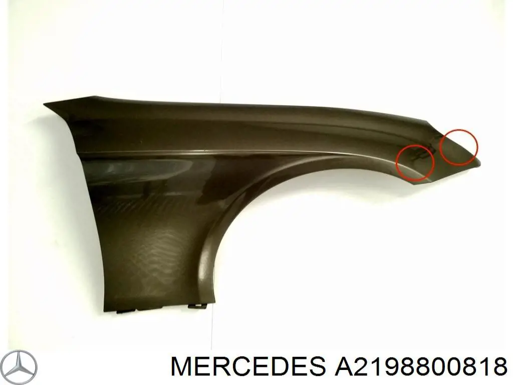 Guardabarros delantero derecho para Mercedes CLS (C219)
